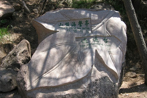19.jpg 19.jpg
